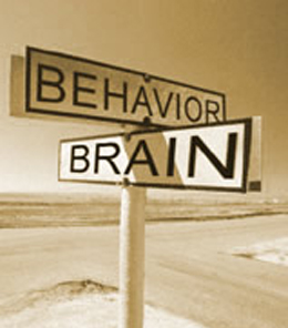 Behavior-Change