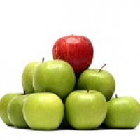 differentiation